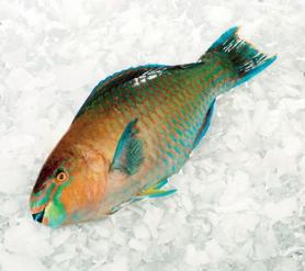 La Digue - zátoka Anse Patates