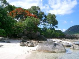 Ostrov Round Island - pohled na pobřeží Část pobřeží seychelského ostrova Round Island