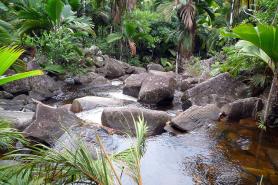 Příroda ostrova La Digue