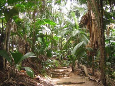 Praslin - Grande Anse