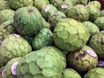 Seychelly - exotické ovoce cherimoya