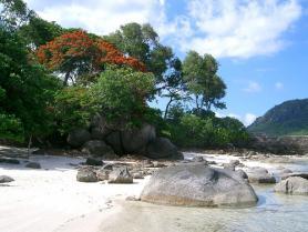Část pobřeží seychelského ostrova Round Island