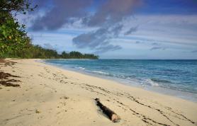 Seychelský ostrov Denis Island s pláží