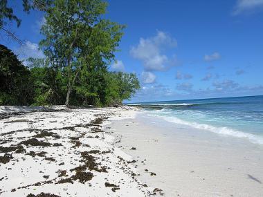 Seychelské pobřeží ostrova Cousin