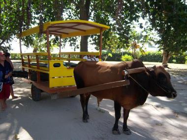 Seychely a druh taxislužby