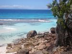 Seychelský ostrov Aride - pohled na pobřeží