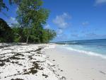 Seychelské pobřeží ostrova Cousin